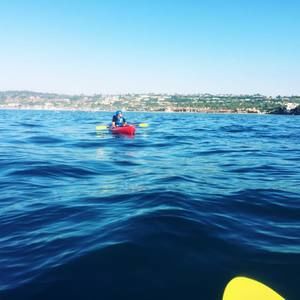 Meet your Posher, Mitchell